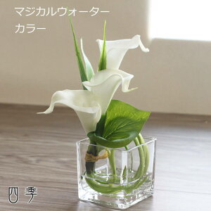  }WJEH[^[ 3^Cv  ݃Zbg ʔ a~ ފ d  @ O   {  ma_0490