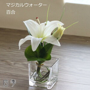  }WJEH[^[ 3^Cv  ݃Zbg ʔ a~ ފ d  @ O   {  ma_0490