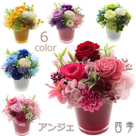 楽天市場 アンジェ 花 ガーデン Diy の通販