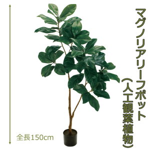 �}�O�m���A���[�t�|�b�g150cm �l�H���� �l�H�ϗt�A�� ���� �C���e���A�O���[�� 130 ���ւ⃊�r���O�̃C���e���A�Ɂy���������z GR_0060