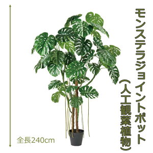 �����X�e���W���C���g�|�b�g240cm �l�H���� �l�H�ϗt�A�� ���� �C���e���A�O���[�� 1550 ���ւ⃊�r���O�̃C���e���A�Ɂy���������z GR_0056