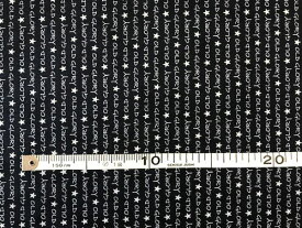 パッチワーク 生地 USACOTTON moda社 紺地に白文字 ：数量1＝10cm