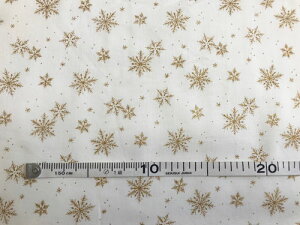 pb`[N n NX}Xvg nɃS[h̐̌ 110cm