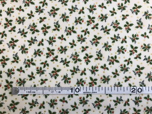 pb`[N n NX}XvgnɕA F110cm