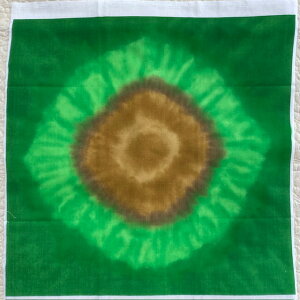 pb`[N nCA T[Npbg J[No.2150×50cm