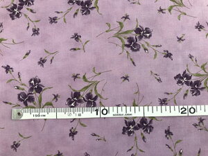 pb`[N n USARbg p[vn 啿 ԕ F110cm