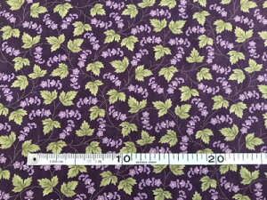 pb`[N n USARbg p[v ԕ F110cm