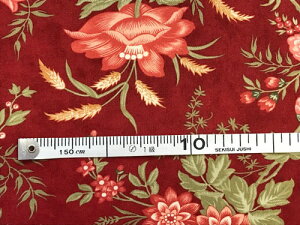 pb`[Nn USARbg Ԍn ԕ 啿