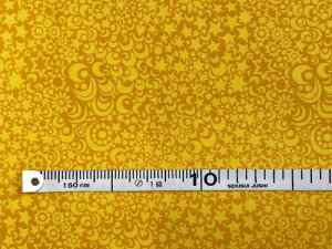 USARbg n͗l  CG[nF 110cm