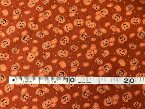 pb`[N n NX}Xvg pvL nEBvg:110cm