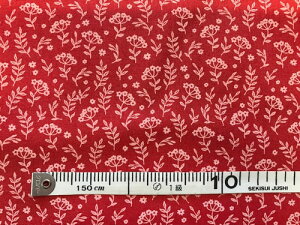 pb`[N n vgz USARbg n̔ԕF 110cm