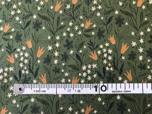 pb`[N n vgz USARbg [݂ǂ ԕF 110cm