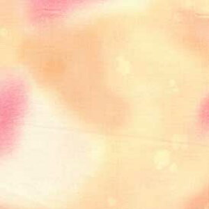 pb`[Nn  ނ߃vg }[u J[F3