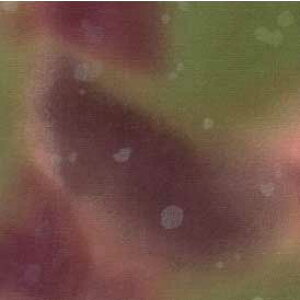 pb`[Nn  ނ߃vg }[u J[:19