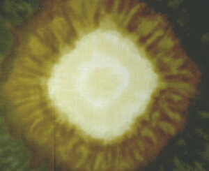 pb`[N nCA T[Npbg J[No.1850×50cm