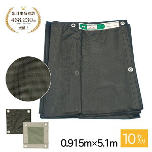 y݌Ɍ̑z hbVV[g 0.915×5.1m 10 O[ 2ރbVV[g   h  VF[h Slbg Ռ ՔMAAj}tFX ډB h h~ ]