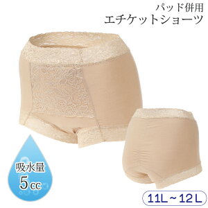 yP2{}\10/27 09:59܂Łz փpc p ARpc z h փV[c Spc 5cc  킢 ߕtȂ  YO Y Y  Tj^