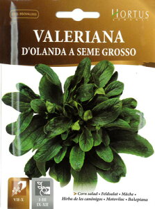 �y�C�^���A�̖�؂̎�zHortus�Ё@�}�[�V���i���@�����A�[�i�j�E�O���b�\�@�o�����A�s�Œ��t[Cod.bsoval005]