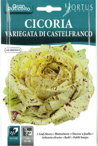 yȑ܃C^A̖؂̎zHortusЁ@[t`R[ECicoria Variegata di CastelfrancoyŒz[COD.BGOCIC012]