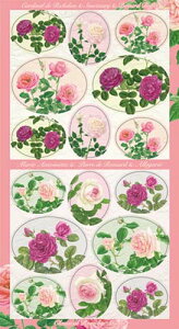 yV[zFRONTIA@}XLOV[@Michie@I[obsl-176