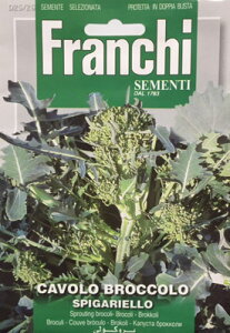 yC^A̖؂̎zFRANCHI @}ubR[E ubR[ SPIGARIELLO[25/26]