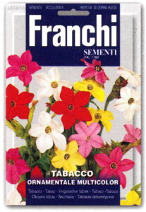 yC^ẢԂ̎zFRANCHIЁ@ jR`Ai@sŒt352/60