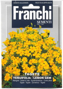 yC^ȂԂ̎zFRANCHIЁ@}[S[h@r[h@̕΁sŒt353/6@KF20-25C20𒴂悤ɂȂĂ܂ĂB