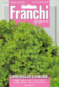 yC^Ãn[u̎zFRANCHIЁ@ZtB[i`[rj36/1sŒtisNxj