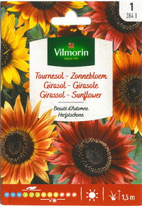 ytX̑Ԃ̎zVilmorin Ђ܂E Beaute de Automne Of[VYȃq}@Ȍ