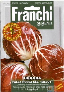 【イタリアの野菜の種】 FRANCHI社スペシャルセレクション チコリー・赤みボール型 PALLA ROSSA SEL."MELOT"