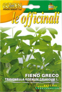 yC^Ãn[u̎zFRANCHIЁsG LttFkO[NyŒz61/50