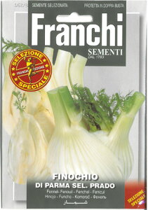 yC^A̖؂̎zFRANCHI tFlEp}@[Œ]62/8@XyVZNV