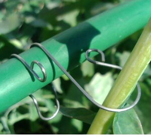 xcAEWp@UNbv@}@VO^Cv(xp)S-11@12@11~xp͍݌Ɍ