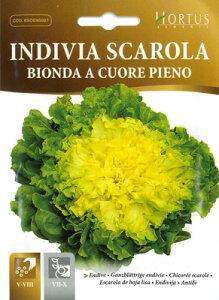 �y�C�^���A�̖�؂̎�zHortus�� �G���_�C�u�E�r�I���_�@Scarola bionda cuore pieno�s�Œ��tCOD.BSOENS007