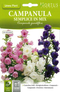 yC^ȂԂ̎zHortusЁ@JpjE~bNX@ COD.BGFCAM002sŒt