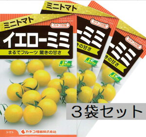 yJlRc̖؂̎zSet3@~jg}g CG[~~@@t[co̊ÂA 邢CG[J[E3܃Zbg@L؂̂߁A͓XܕSł͂܂Bz@