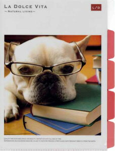 yNAt@Cz}Ch 5|Pbgt@C@tHg@X^fB[hbO 10803