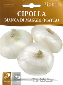 yC^A̖؂̎zHortus @IjI@BIANCA DI MAGGIO@(PIATTA)@}bWI@tbg@COD.BSOCIP004sŒtK20-25