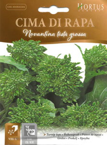 yC^A̖؂̎zHortusЁ@ ^[jbvgbvs(90njti`[}@fB@[pj Novantina testa grossa@BSORAC005