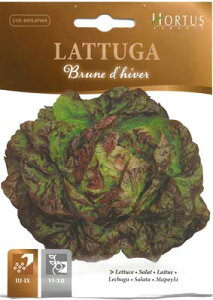 yC^A̖؂̎zHortusЁ@^XiBrune d'hiverjsŒtCOD.BSOLAT009