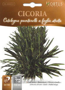 yC^A̖؂̎zHortusЁ@[t`R[iv^bjEtHOAXgb^@t@COD.BSOCIC101