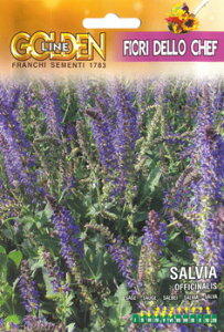 yC^ẢԂ̎zFRANCHIЁsGLtGfBut[EZ[W-SALVIA officinalis@GLFE119/2sŒt