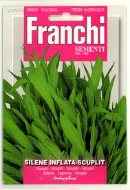 【イタリアの野菜の種】FRANCHI社　ストリドーロ 120/50《固定種》
