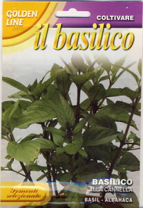 yC^Ãn[u̎zFRANCHIЁsG Lt VioW2 [GL13/12]sŒt