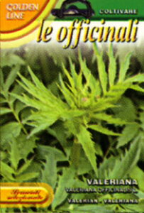 yC^Ãn[u̎zFRANCHI sGLt@AioA j140/50