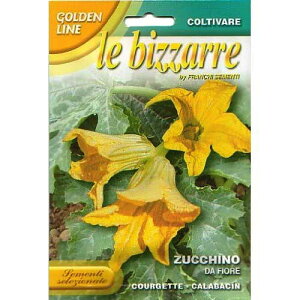 yC^A̖؂̎zFRANCHI sGLtԃYbL[j-DA FIOREyŒz146/57@ԎnpɁEEE