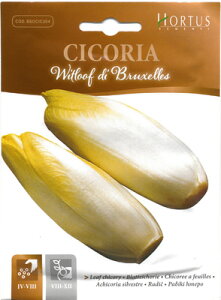 yC^A̖؂̎zHortusЁ@EBbg[t`R[iAfB[ujBSOCIC304sŒtubZ̃`R