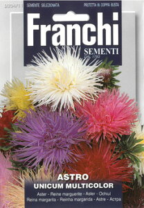 yC^ẢԂ̎zFRANCHI AX^[EUNICUM MULTICOLOR[304/11]