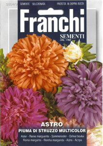 yC^ẢԂ̎zFRANCHI AX^[EPIUMA DI STRUZZO MULTICOLOR[304/9]