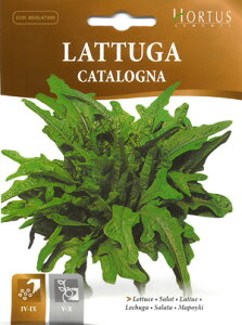 yC^A̖؂̎zHortusЁ@^XigD[KjEJ^[j BSOLAT309